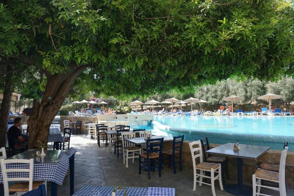 Alex's Vacation - 100m From The - 6 Guests Pafos